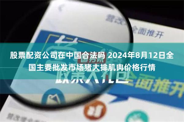 股票配资公司在中国合法吗 2024年8月12日全国主要批发市场猪大排肌肉价格行情