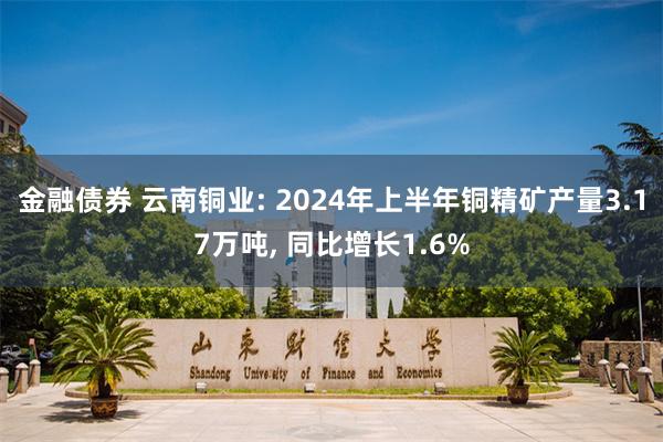 金融债券 云南铜业: 2024年上半年铜精矿产量3.17万吨, 同比增长1.6%