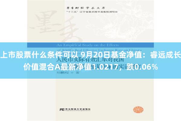 上市股票什么条件可以 9月20日基金净值：睿远成长价值混合A最新净值1.0217，跌0.06%