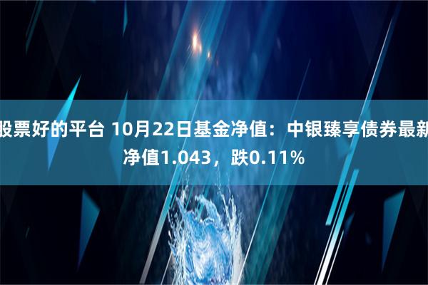 股票好的平台 10月22日基金净值：中银臻享债券最新净值1.043，跌0.11%