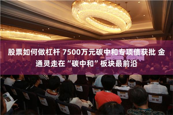 股票如何做杠杆 7500万元碳中和专项债获批 金通灵走在“碳中和”板块最前沿