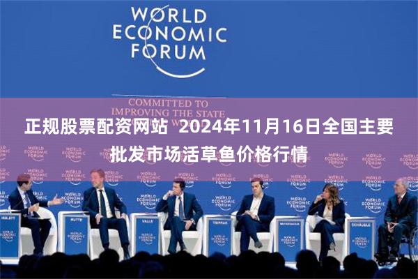 正规股票配资网站  2024年11月16日全国主要批发市场活草鱼价格行情