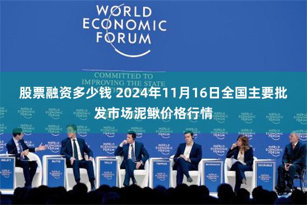 股票融资多少钱 2024年11月16日全国主要批发市场泥鳅价格行情