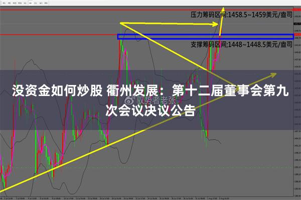 没资金如何炒股 衢州发展：第十二届董事会第九次会议决议公告