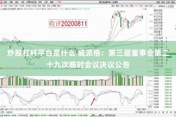 炒股杠杆平台是什么 威派格：第三届董事会第二十九次临时会议决议公告