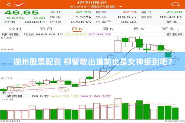 湖州股票配资 柳智敏出道前也是女神级别吧？