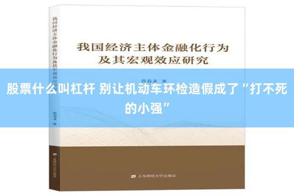 股票什么叫杠杆 别让机动车环检造假成了“打不死的小强”